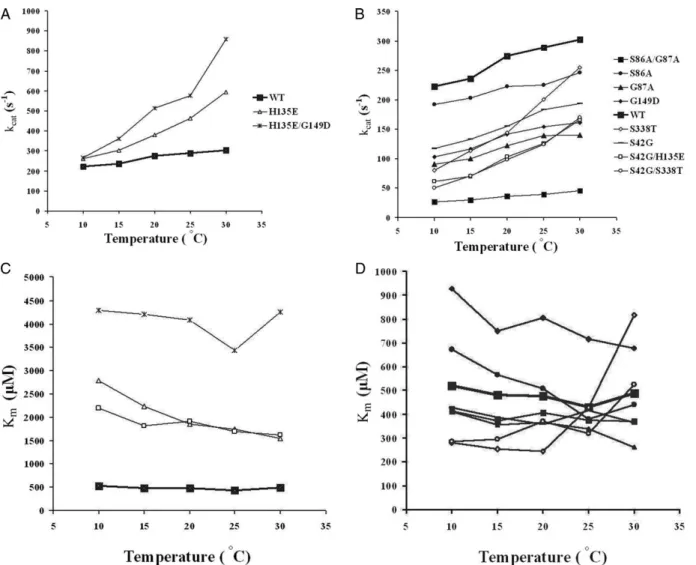 Fig. 2. Kinetic studies of wild-type and mutant APs. Temperature dependence of k cat (A and B) and K m (C and D) of wild-type and selected mutant APs at temperature range 10 – 308C
