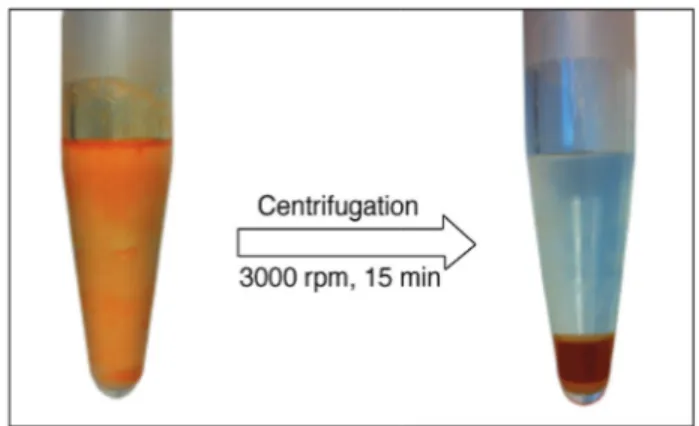 Figure 2. Apparence du milieu réactionnel avant et après centrifugation 