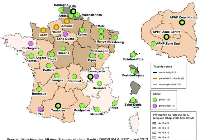 Figure  6 :  Carte  des  37  centres  spécialisés  de  l’obésité « D’après  Organisation  des  filières  de  soins  pour la prise en charge de l’obésité sévère, Ministère des solidarités et de la santé, Décembre 2016 » 