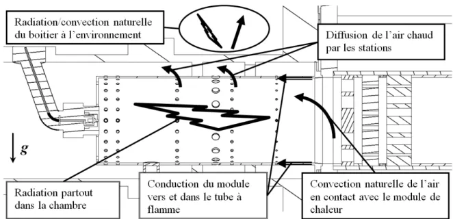 Figure 2-3: Mécanismes thermiques du retour de chaleur tels qu’ils sont prédits dans le  système 
