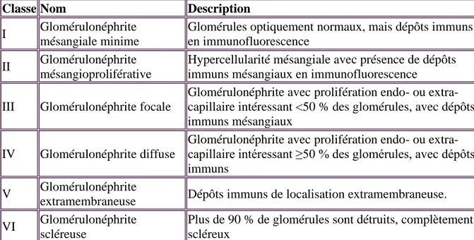 Tableau 2 : Classification des néphropathies lupiques de 2004 (34) 