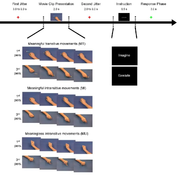 Figure 3.1. Timeline of an experimental trial. 