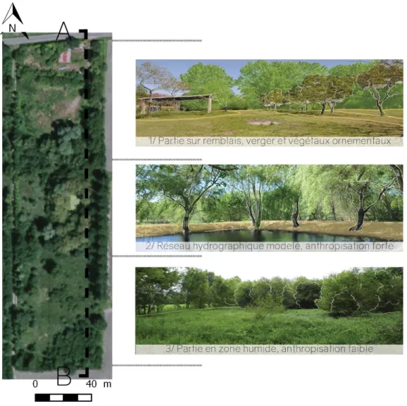 FIGURE 19 : Coupe des parcelles communales (M. Archipczuk, 2017) 