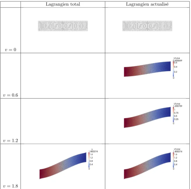 Figure 1.6: Comparaison entre lagrangien total et actualisé : cas test avec condition aux limites de Dirichlet