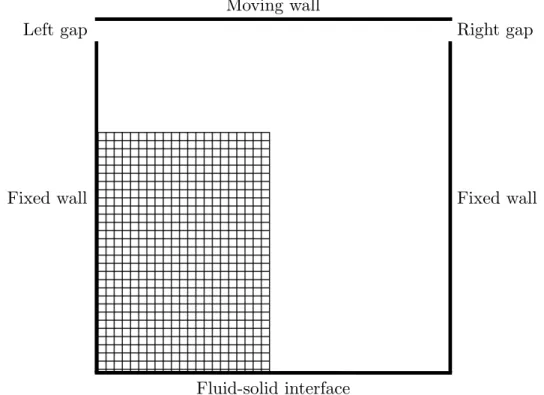 Figure 4.1: Fluid mesh used for numerical tests also showing the boundary condi- condi-tions.