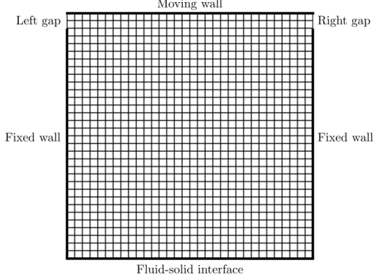 Figure 4.1: Fluid mesh used for numerical tests also showing the boundary condi- condi-tions.