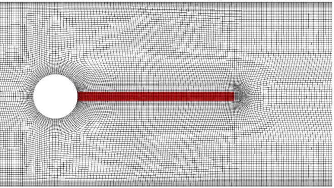 Figure 4.4: Near-body mesh used for the coarse-resolution simulations. The red part is the solid region.
