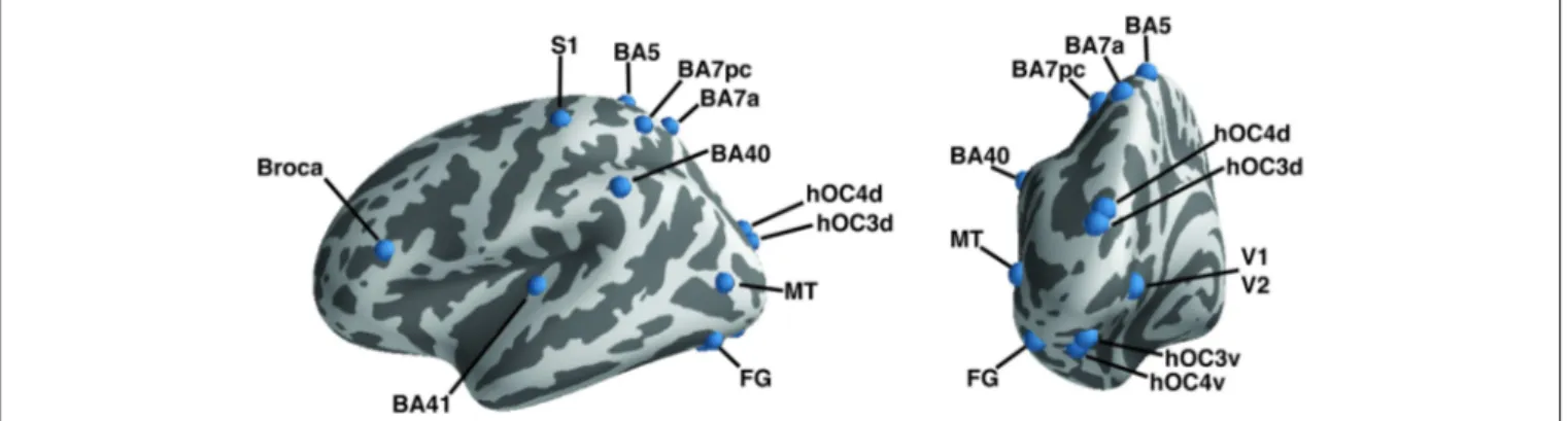 FIGURE 1 | A priori defined regions of interest. Regions of interest are shown on the left hemisphere of an inflated brain using PySurfer