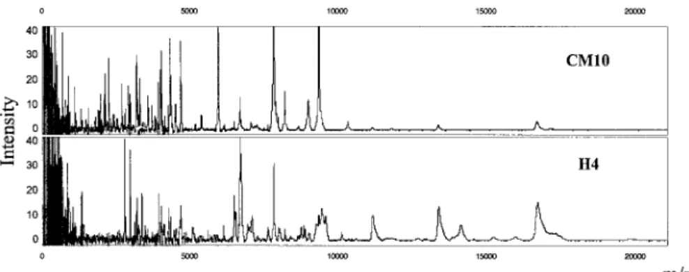 Figure 1. Protein mass spectra of a quality control serum sample from a healthy control subject, obtained on CM10 and H4 arrays