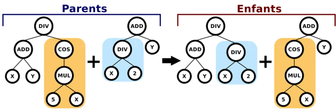 Figure 2.2: Exemple de croisement en programmation génétique Algorithm 1 Algorithme général d’une évolution en programmation génétique