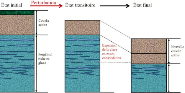 Figure 2.5: Comportement du pergélisol riche en glace lors d'une modification des conditions de  surface (Mackay 1970 tel que cité par Gravel Gaumond, 2014)