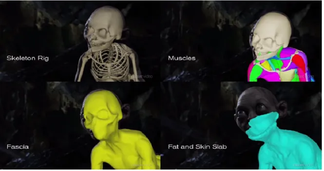 Figure 6. Les systèmes sous-jacents à la simulation du corps de Gollum. Source : Chaîne Youtube de Nature Video