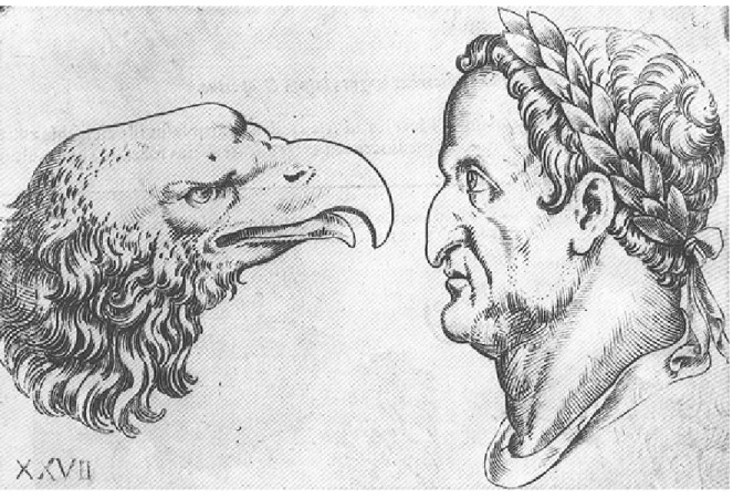 Figure 9. Voir la bête dans l’homme et l’homme dans la bête. Source : G.B. Della Porta, Sergius Galba-Aigle, Naples, 1602
