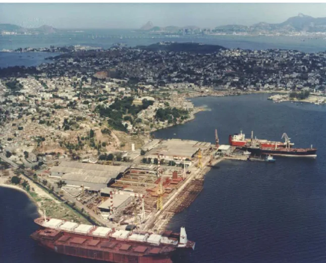 Fig. 3 : Example of shipyard in operation (Eisa S.A – RJ/Brazil) 