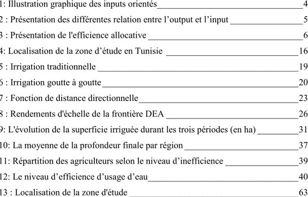 Figure 1: Illustration graphique des inputs orientés ________________________________ 4  Figure 2 : Présentation des différentes relation entre l’output et l’input ________________ 5  Figure 3 : Présentation de l'efficience allocative _____________________