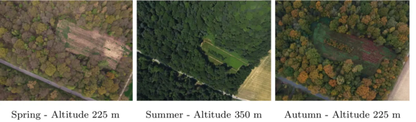 Fig 2. Individual aerial RGB images of a forest opening from survey 1 (spring), 5 (summer) and 10 (autumn).