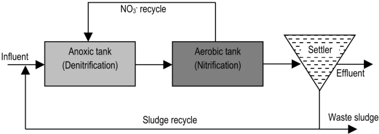 Figure 2.3 Illustration of the MLE process configuration for nitrogen removal.