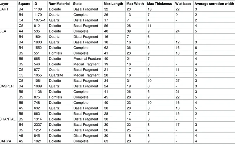 Table 6. Sibudu, basal layers under study.