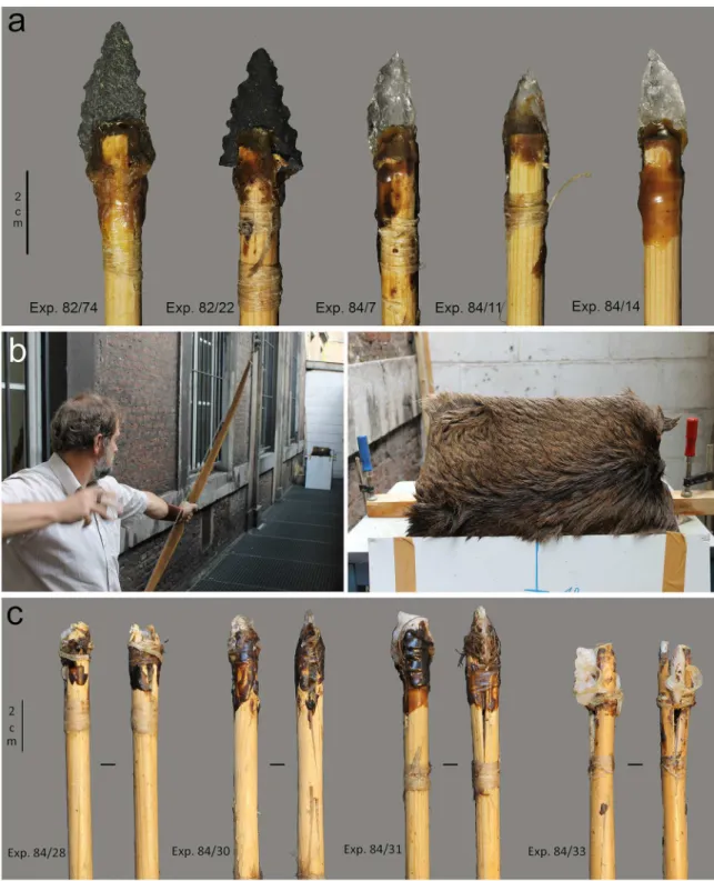 Fig 7. Projectile experiments. a) hafted experimental projectiles before the experiment; b) experimental set-up including target used on the right (The individual in this picture has given his written informed consent); c) hafted experimental