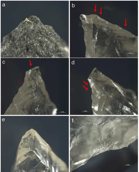 Fig 8. Examples of damage caused by impact as recorded on the experimental reference sample