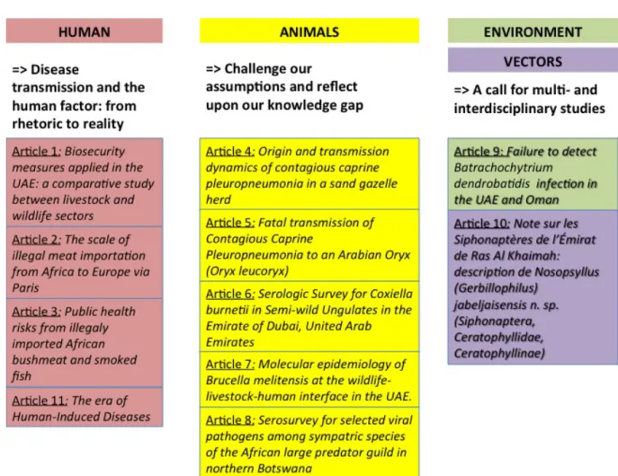Figure  2:  In  bold,  the  conceptual  framework  of  the  thesis  thereafter  associated  with  the  elements of the epidemiological triad studied and the list of articles relating to these elements