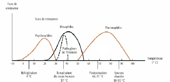 Figure 5 Courbes de croissance des micro-organismes psychrophiles, mésophiles et thermophiles  selon la température 