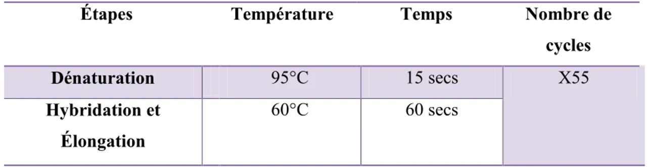 Tableau 4 : Étapes de réaction du PCR en temps réel 
