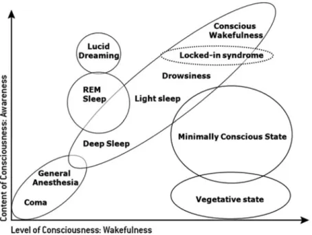 Fig. 2.1 Illustration of the two major components of consciousness: the level of consciousness (arousal or wakefulness) and the content of consciousness (awareness) in normal physiological states, where the level and the content of consciousness are genera