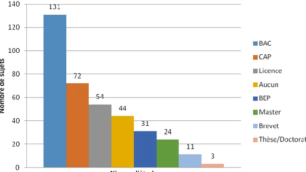 Figure 8 : Répartition des différents niveaux d'études pour les patients ayant  consulté internet (N=58) 