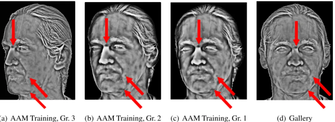 Fig. 3.6 demonstrates the precise annotation approach of the enhanced versions of the three AAM training samples of a subject with respect to his/her frontal version, together with the whole and warped vascular network extracted from the left part of face 