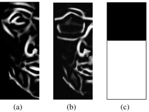 Fig. 4.2 demonstrates the subject’s sample in the feature database 1 , a test image of her with glasses, and the mask which should be applied respectively (Notice that the mask is also applied in the  anno-tation of AAM training set with glasses, i.e