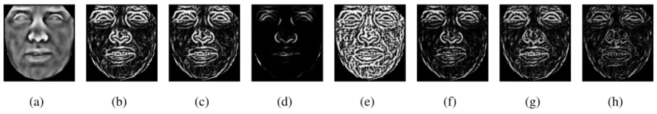 Fig. B.1 demonstrates the output of the Frangi Vesslness filter for different choices of K, β and c