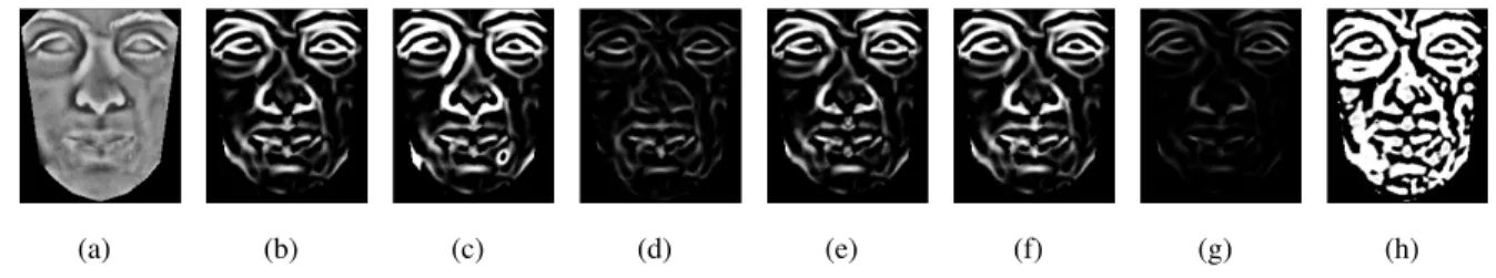 Fig. C.1 demonstrates the output of the Frangi vesslness filter for different choices of K, β and c.