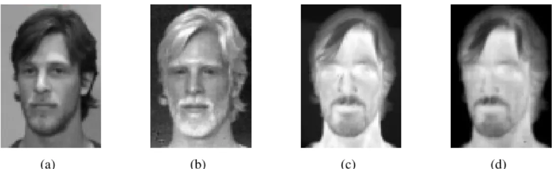 Figure 1.17 shows examples of images from the database.