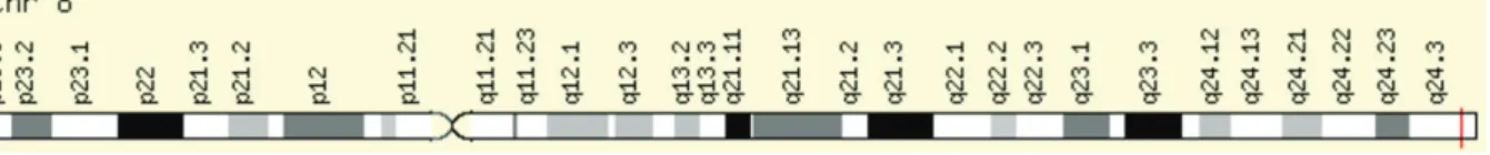 Figure 24 Gène FAM83H sur le chromosome 8 au niveau du locus 8q24.3  Un défaut de ce gène entraine une amélogénèse imparfaite de type III ou  hypocalcifiée