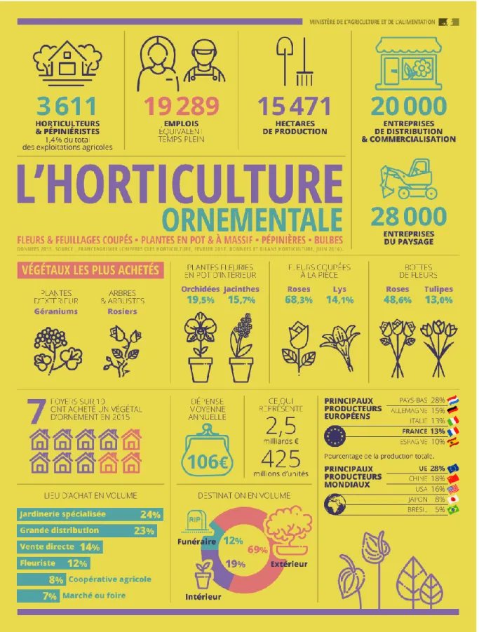 Figure  3  -  Infographie  :  Présentation  de  la  filière  horticole  ornementale  française  –  Ministère  de  l’Agriculture  et  de  l’Alimentation  