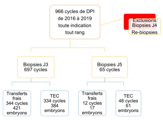 Figure 2 : Schéma d'inclusion. 