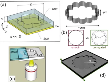 FIG. 1. (a) Sketch of shallow chambers built on SU8. (b) Smooth vs corrugated (rosette) chambers with various diameters, D = 2R, were fabricated