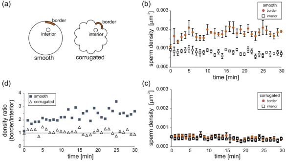 FIG. 4. Sperm cell density in shallow chambers. (a) Location of the typical domains used to count the cells in the chamber border and interior