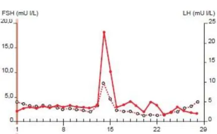 Figure 8 : Evolution des taux de FSH et LH au cours du cycle menstruel(5) 