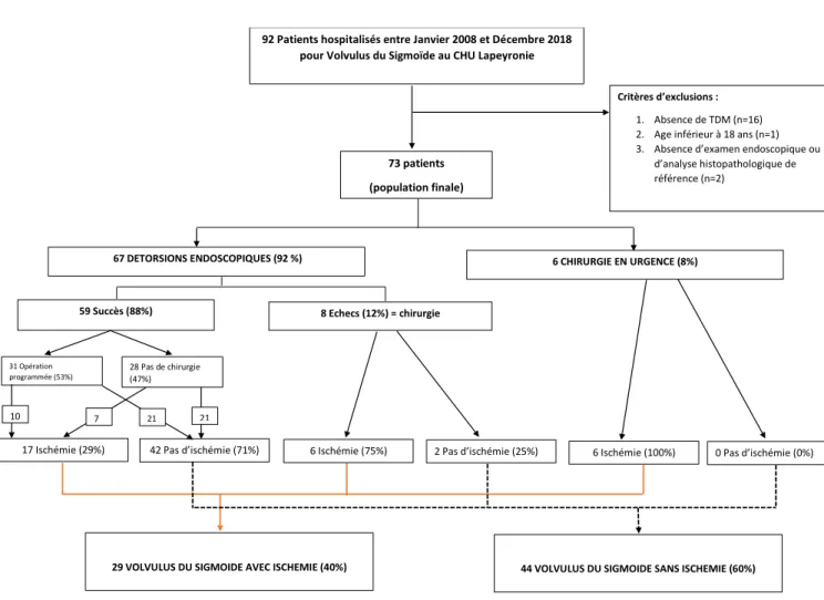 Figure 1 : diagramme de flux des patients. 