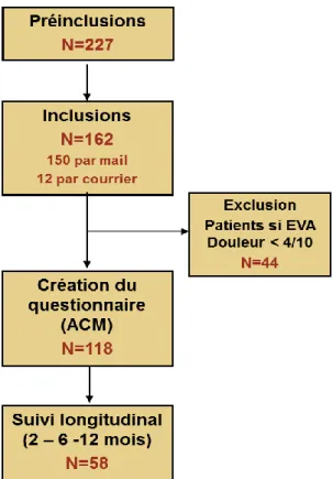Figure 1 Diagramme de flux des patients ayant validé le questionnaire préliminaire 