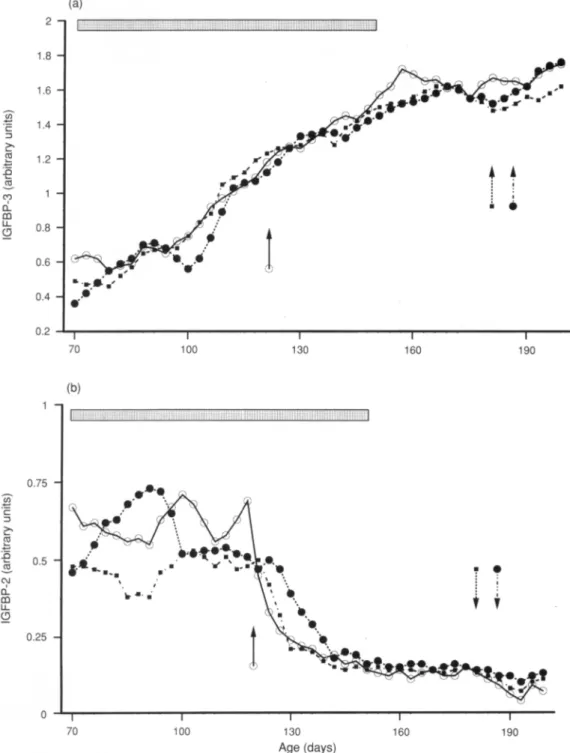 Fig. 2. Mean plasma concentration of (a) insulin-like growth factor-binding protein-3 (IGFBP-3) and (b) IGFBP-2