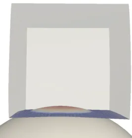 Figure 2.1: Un cube déformable de loi Mooney-Rivlin indenté par une sphère rigide