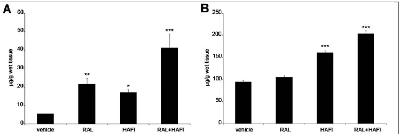 Figure  12b.   Résultat  échographique  de  l’épaisseur  épidermique  des  avant  bras  avant  (A)  et  après  (B) traitement par RAL+HAFi