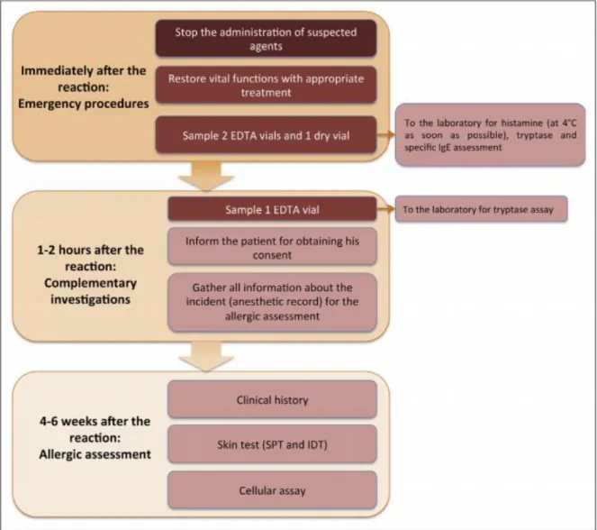 Diagramme 1. Algorithme de prise en charge diagnostique [19]. 