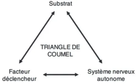 Figure 1 : Triangle de Coumel 