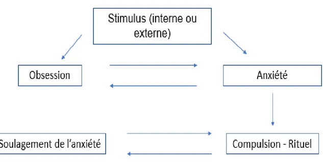 Figure 1 : Les bases théoriques du trouble obsessionnel compulsif. (14) 