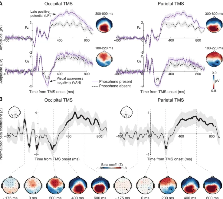 Figure 2. Voltage– domain correlates of phosphene perception time locked to TMS onset