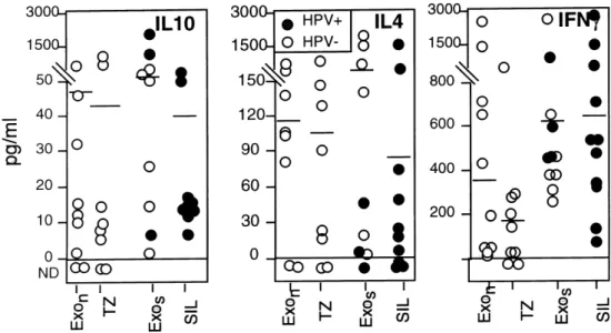 TABLE II. Phenotype of Lymphocytes Derived from the Stroma Exo n a TZ a Exo s b SIL b CD16 + CD3 – cells 6 ± 6 (5) c 4 ± 3 (5) 5 ± 5 (5) 3 ± 1 (3) CD4+ T cells 19 ± 5 (18) 14 ± 5 (18) 14 ± 5 (17) 22 ± 5 (17) CD45R0 + cells &gt; 95 &gt; 95 &gt; 95 &gt; 95 C